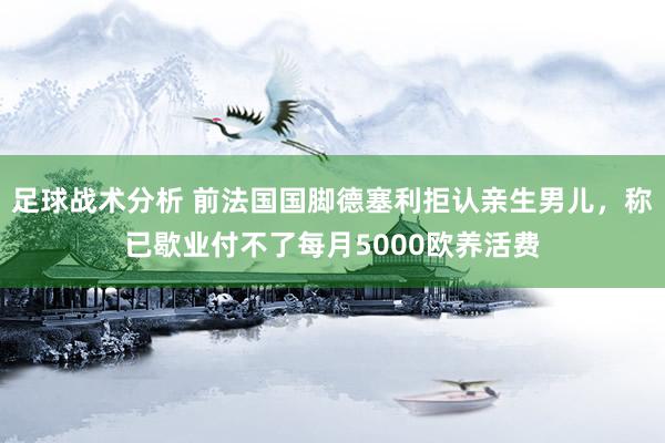 足球战术分析 前法国国脚德塞利拒认亲生男儿，称已歇业付不了每月5000欧养活费