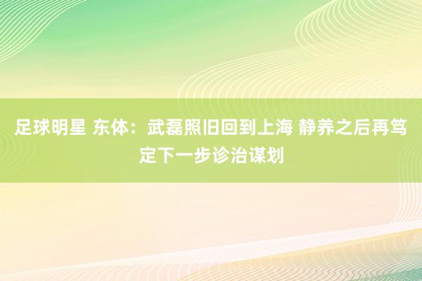 足球明星 东体：武磊照旧回到上海 静养之后再笃定下一步诊治谋划