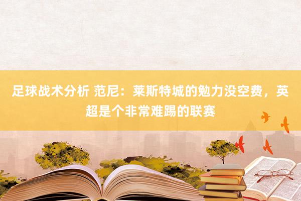 足球战术分析 范尼：莱斯特城的勉力没空费，英超是个非常难踢的联赛