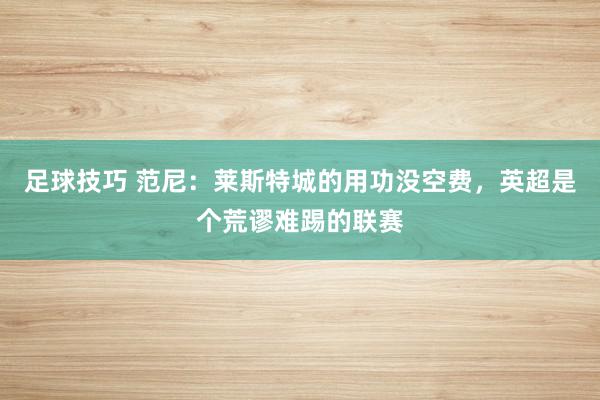 足球技巧 范尼：莱斯特城的用功没空费，英超是个荒谬难踢的联赛